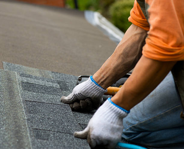 Quick and Trustworthy Emergency Roof Repair Services in Sidney, OH