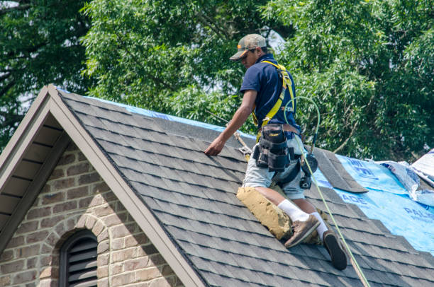 Best Storm Damage Roof Repair  in Sidney, OH